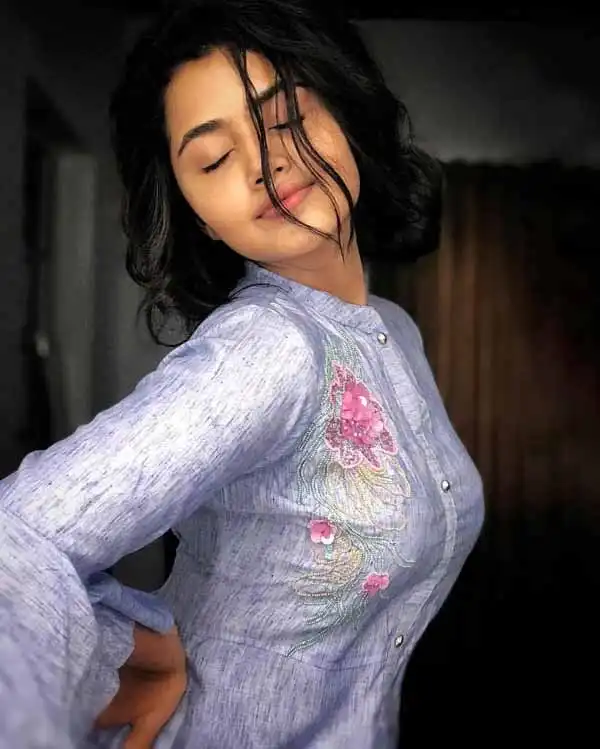 Anupama Parameswaran Age, Love Life, Money, News