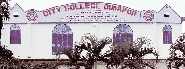 Temjen Imna Along Age, Political Party, Speech, Secrets & More 3 Temjen Imna Along Age, Political Party, Speech, Secrets & More