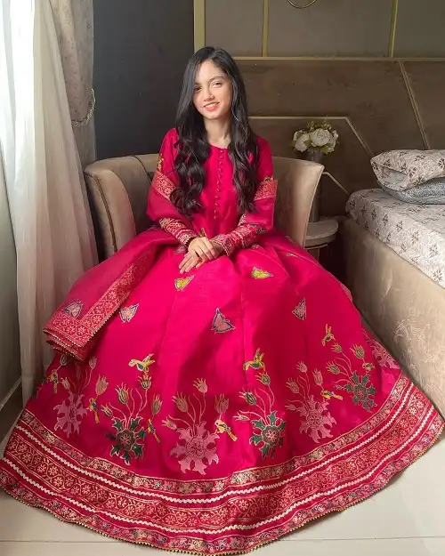 Aina Asif (Pakistani Actress) Age, Viral, Sister &  Biography