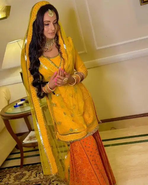 Ameesha Patel Age, Height, Husband, Marriage, Movies & Biography