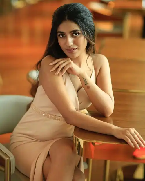 Priya Prakash Varrier Age, Height, Relationship & Biography